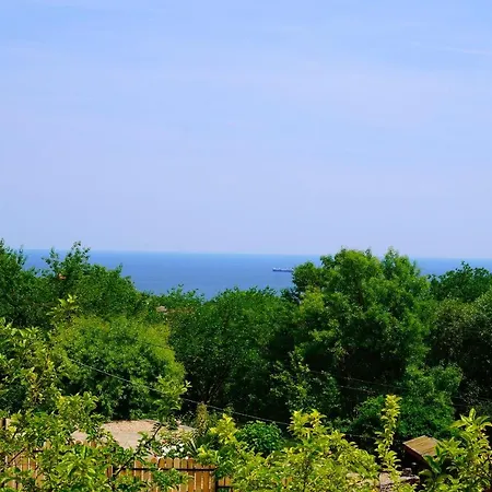 серена - Serena - Zone * Balchik